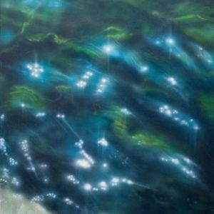 Meet your Posher, Dani